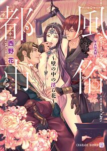 風俗都市~壁の中の淫ら花~【特別版】