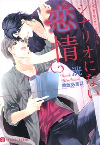 シナリオにない恋情 特別版