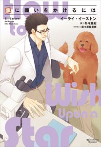 星に願いをかけるには
