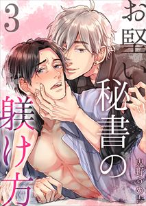 お堅い秘書の躾け方3