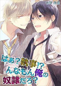 はぁ?執事!?んなもん俺の奴隷だろ?