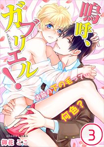 嗚呼､ｶﾞﾌﾞﾘｴﾙ!お前の下の毛って…何色?3