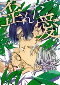 歪んだ愛~君の全てを手に入れるためなら~