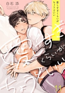 愛しすぎくらいがちょうどいい11