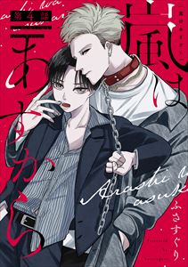 嵐はあすから(4)