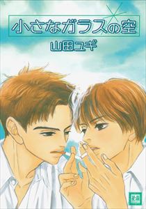 小さなガラスの空
