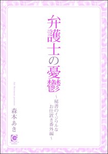 秘書のイケナイお仕事