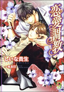 恋愛調教【イラスト入り】