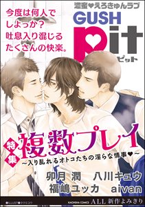 GUSHpit 複数プレイ~入り乱れるオトコたちの淫らな情事~