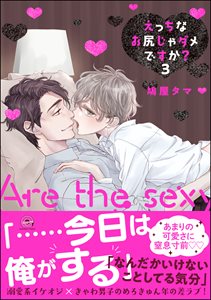 えっちなお尻じゃダメですか?【電子限定かきおろし漫画付】 3
