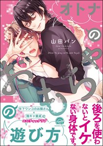 オトナのおもちゃの遊び方