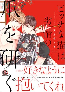 ビッチな猫は劣情の爪を研ぐ【電子限定かきおろし漫画付】