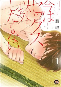 今はセックス以外したくない(分冊版)