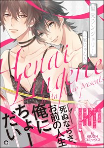 偏愛ランジェリー