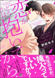 恋かどうかは抱いてから