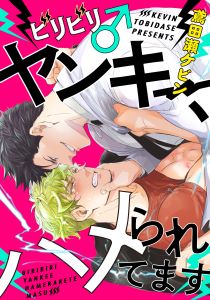 ビリビリ♂ヤンキー、ハメられてます(3)　ナマでヤッたら、危ないぜ!?