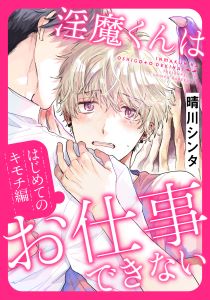 淫魔くんはお仕事できない