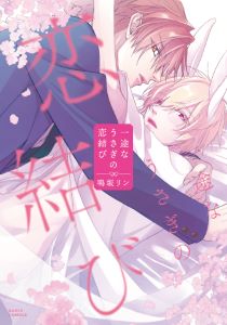 お嫁様シリーズ