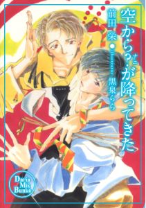 空から?が降ってきたシリーズ