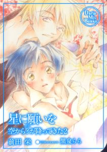 星に願いを 空から?(ナニ)が降ってきた2
