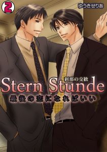 Stern Stunde-刹那の交歓～最後の恋になればいい～(2)