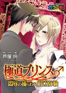 極道プリンス♂悶辱の捕らわれＳＥＸ体験 カラー版（１）