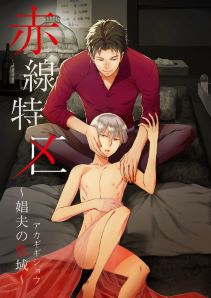 赤線特区~娼夫の性域~