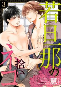 若旦那の拾いネコ（３）