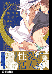 焦がれ王子のジレンマ【分冊版】