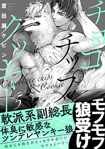 チョコチップクッキー(5)