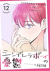 シンデレラボーイの憂鬱１２
