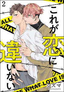 これが恋に違いない(分冊版) 【第2話】