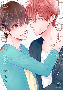 叶わなかった恋の続きを【単行本版】（３）