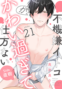 不機嫌イトコがかわい過ぎて仕方ない（21）　side直樹