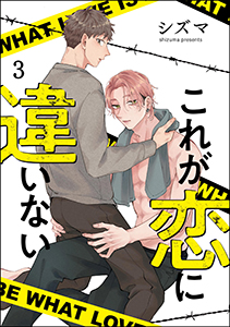 これが恋に違いない(分冊版) 【第3話】