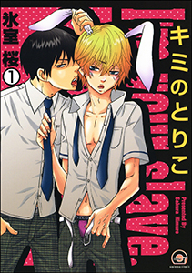 キミのとりこ(分冊版)