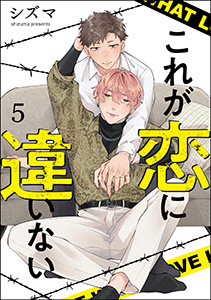 これが恋に違いない(分冊版) 【第5話】