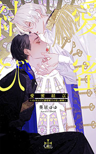 愛蜜結び~オメガの王と溺愛騎士の甘い婚姻~【特別版】(イラスト付き)