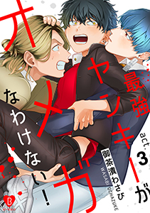 最強ヤンキーがオメガなわけない！ act.3