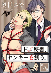 ドS秘書、ヤンキーを飼う。