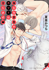 視える世界でカゲキに召しませ