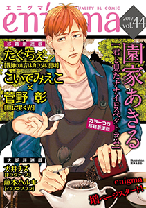 enigma vol.44
