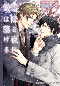 雪降る夜に愛は蕩ける【イラスト付】
