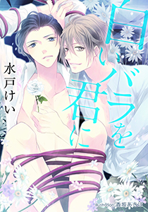 白いバラを君に【イラスト付】