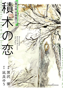 積木の恋【単行本 分冊版】３