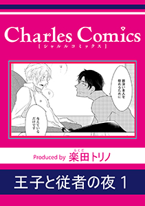 王子と従者の夜