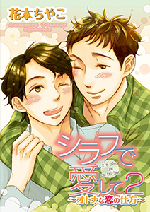 シラフで愛して２～オトナな恋の仕方～