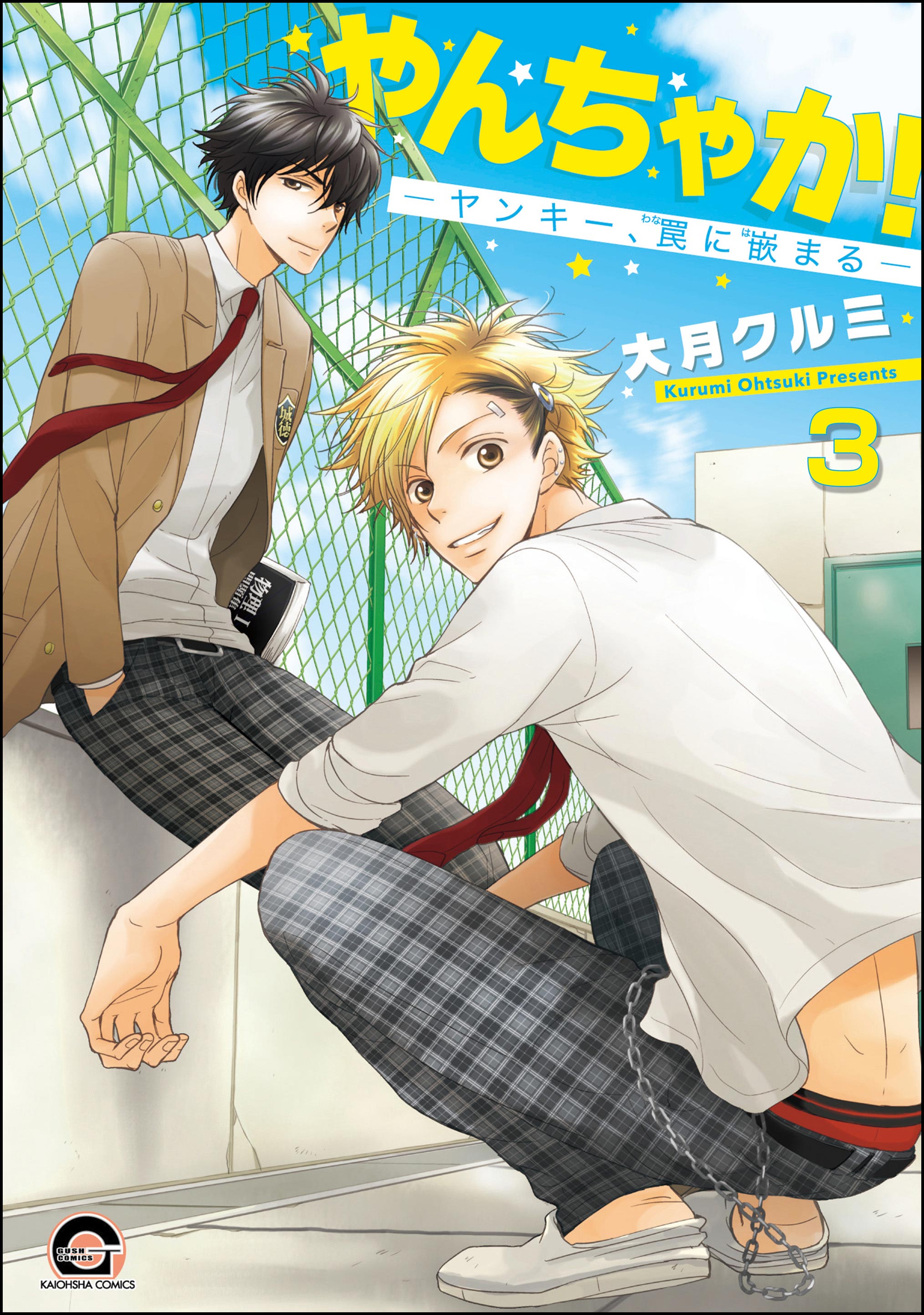 やんちゃか!─ヤンキー、罠に嵌まる─(分冊版) 【第3話】