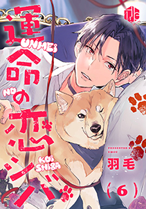 運命の恋シバ 第6話