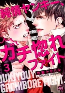 純情ヤンキー、ガチ惚れファイト（分冊版） 【第3話】